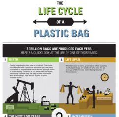 Reusable Grocery Bags? Infographic Shows It's Time to Make The Switch ...