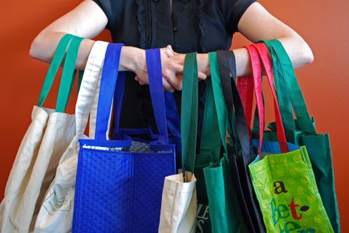 reusable bags business plan