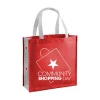 Custom Non-Woven Shopping Bags for Retail