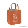 Custom Insulated Cooler Bag - Orange